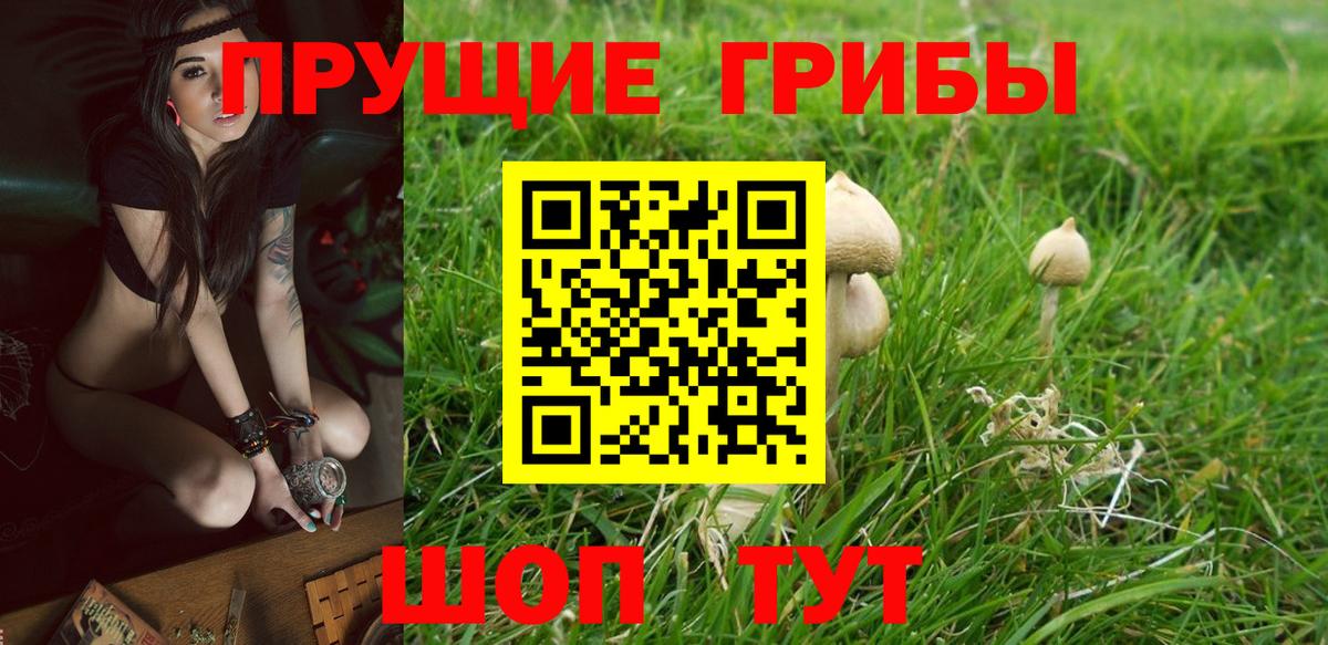 Псилоцибиновые грибы мухоморы  Вход с VPN  Надым 