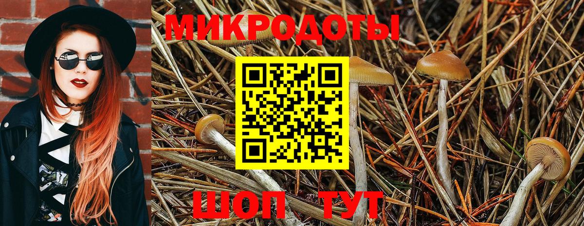 Псилоцибиновые грибы мухоморы Надым